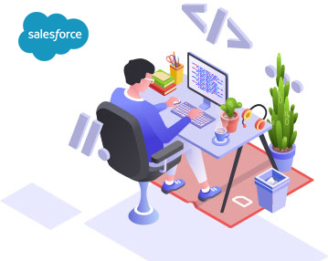 salesforce custom development